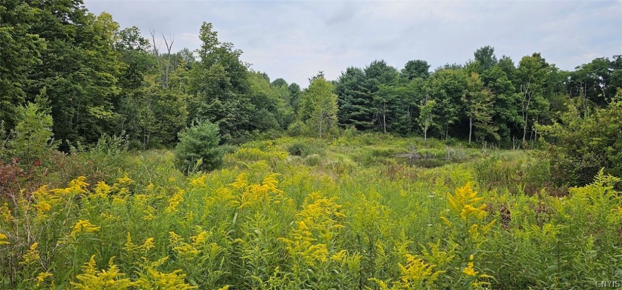 1569 Oakdale Road, Johnson City, NY 13790 Main Photo