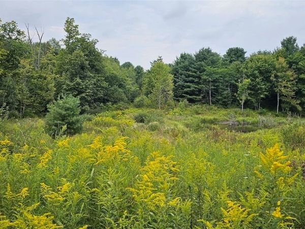 1569 Oakdale Road , Johnson City, NY 13790