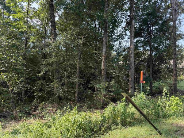 Castle Valley Road , Little Rock, AR 72103