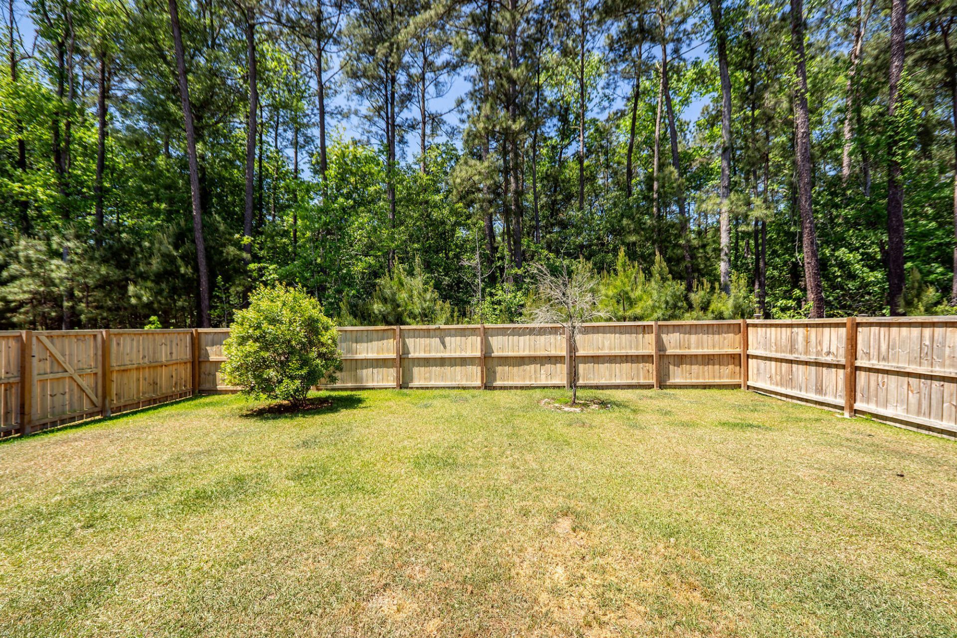 185 Camellia Bloom Drive Photo 22