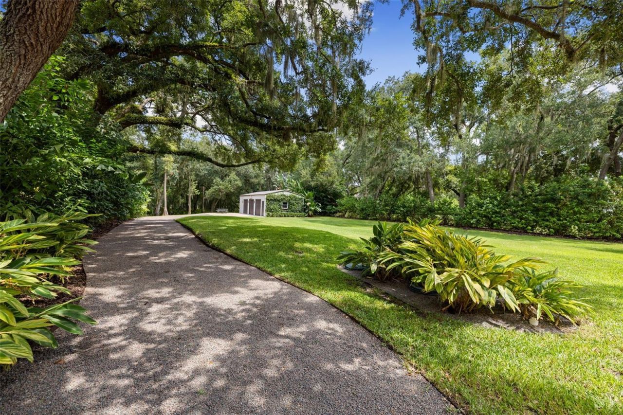 16115 Chastain Road, Odessa, FL 33556 Photo