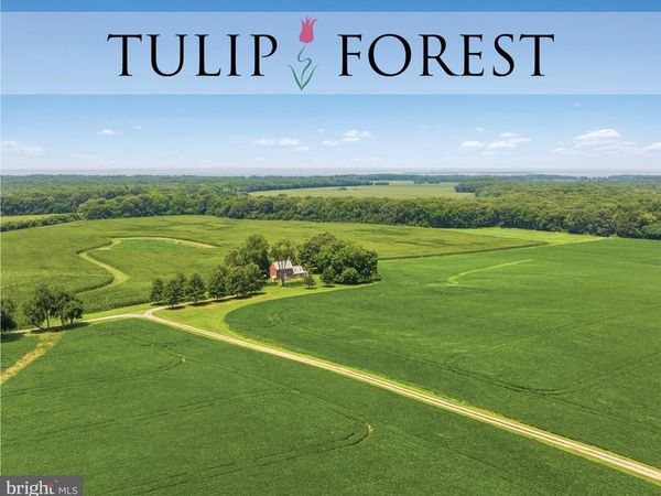 8184 ROCK HALL ROAD, CHESTERTOWN, MD 21620