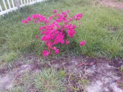 16960 Wildcat Dr , Fort Myers, FL 33913 Photo