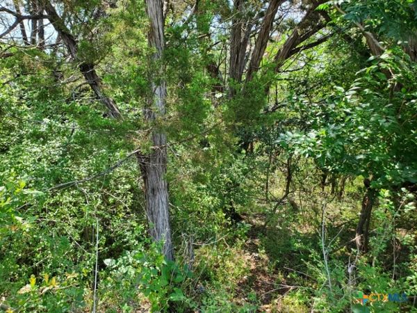 1004 E Avenue E , Temple, TX 76501