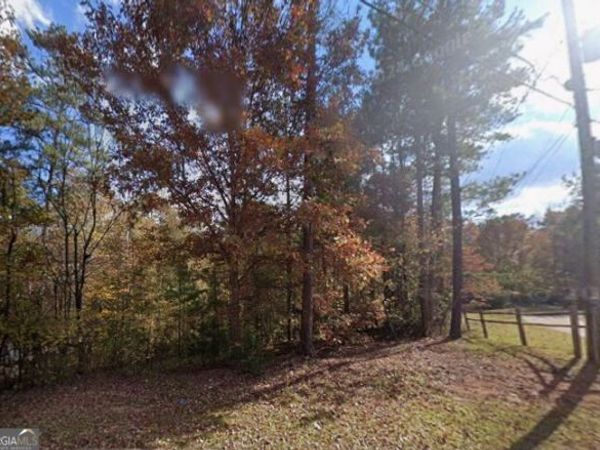 225 White Birch Drive, Covington, GA 30016