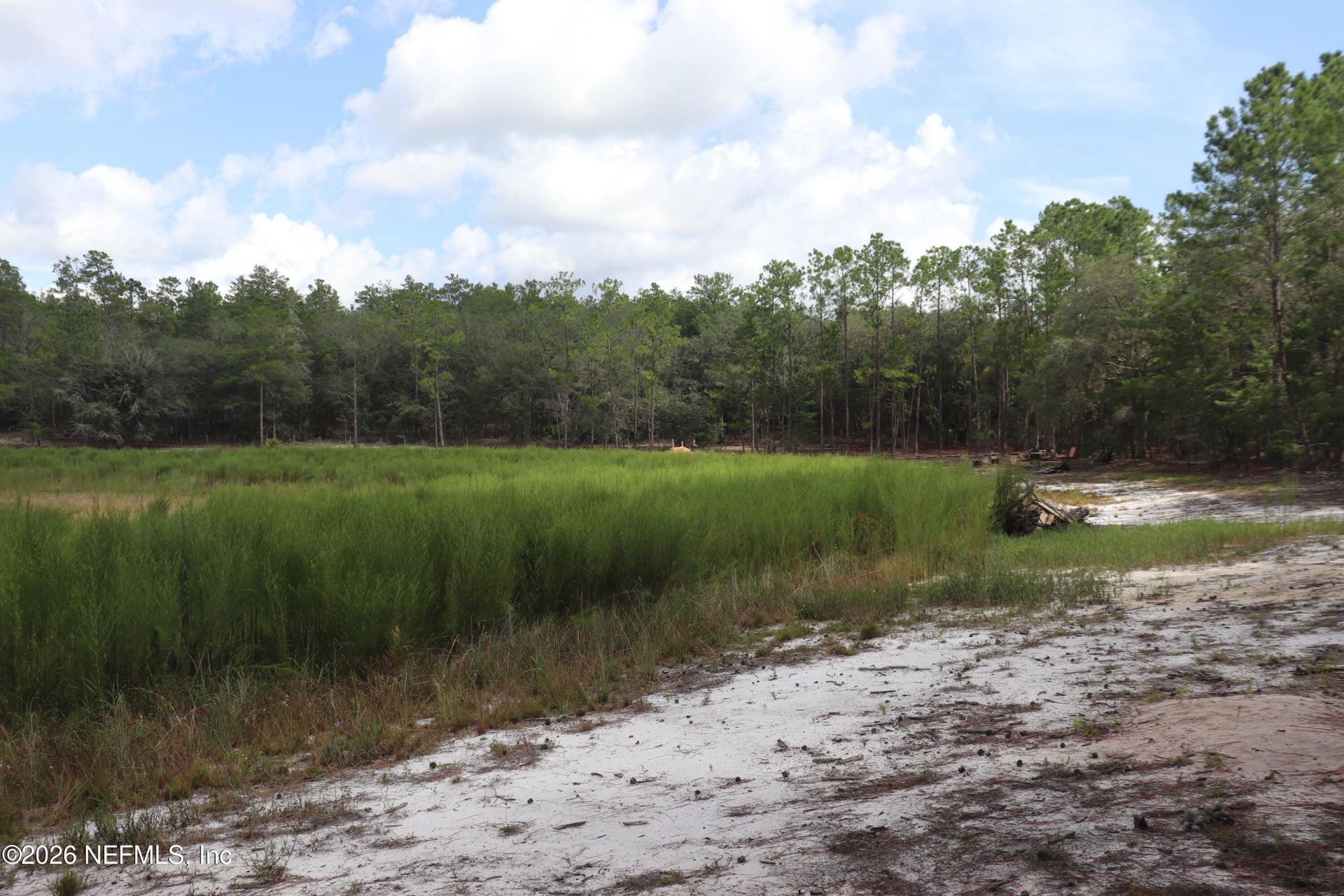 244 Simpson Drive, Interlachen, FL 32148 Photo