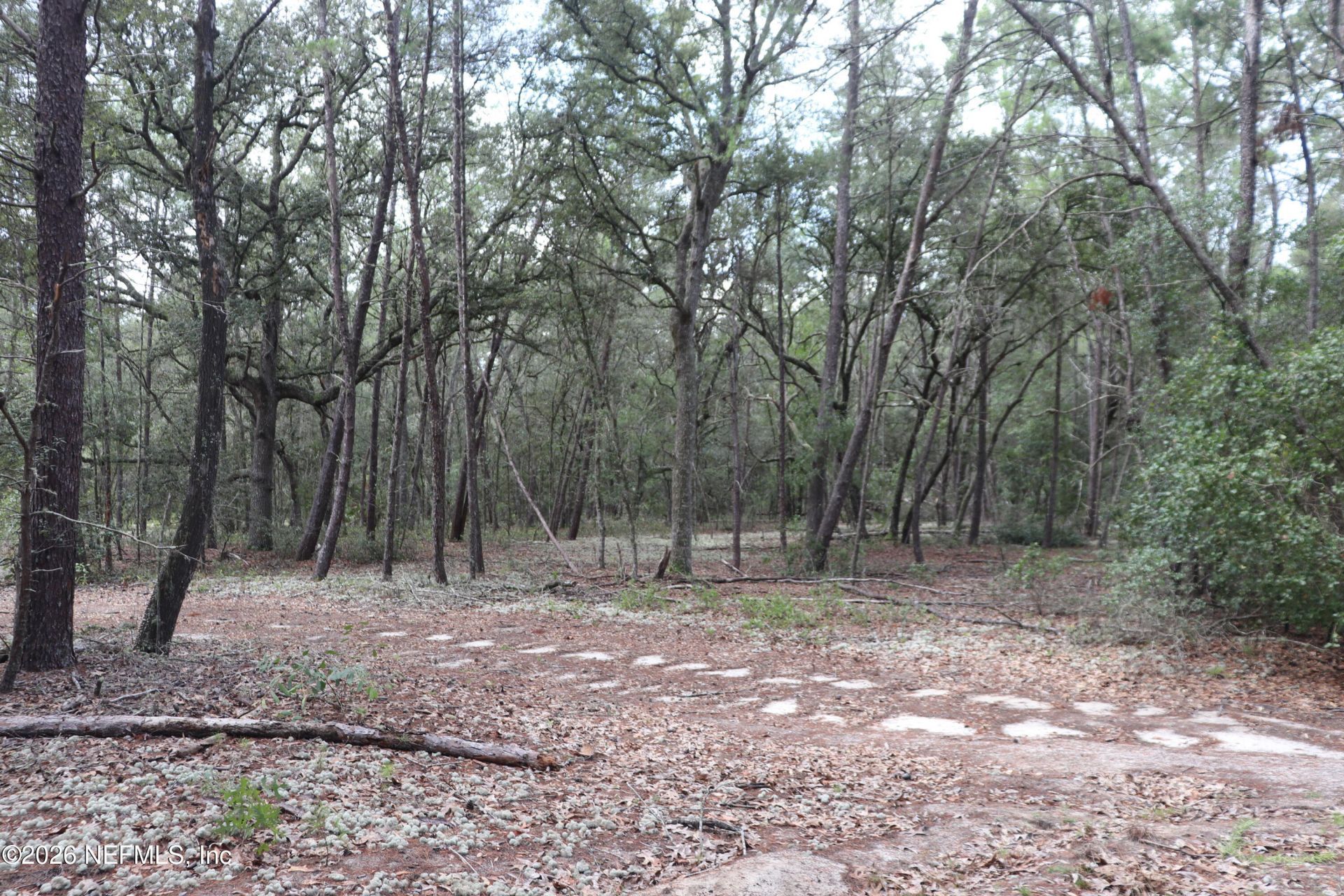 244 Simpson Drive, Interlachen, FL 32148 Photo