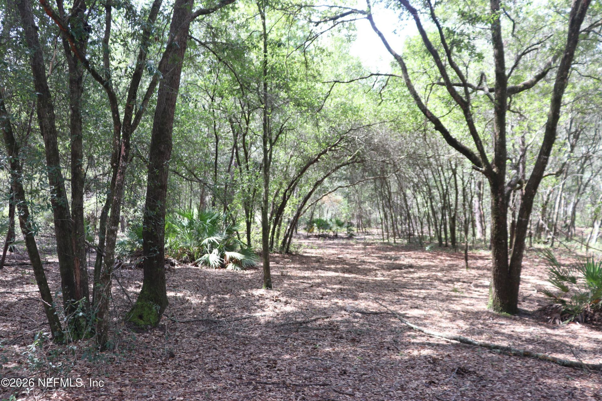 244 Simpson Drive, Interlachen, FL 32148 Photo