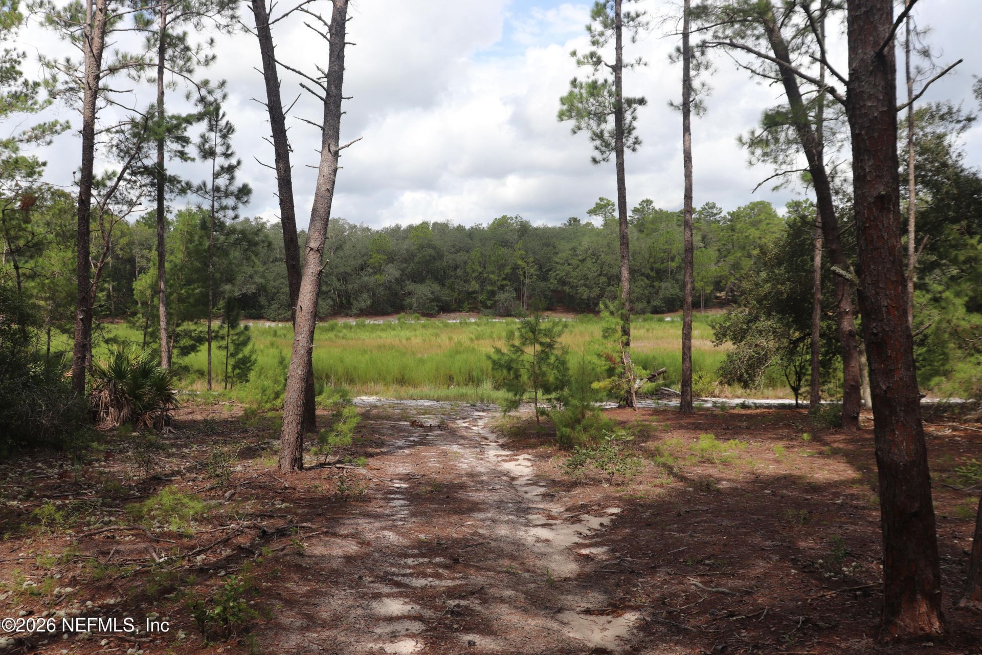 244 Simpson Drive, Interlachen, FL 32148 Photo