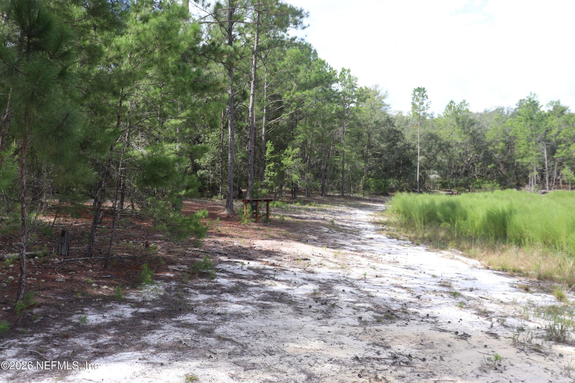 244 Simpson Drive, Interlachen, FL 32148 Photo
