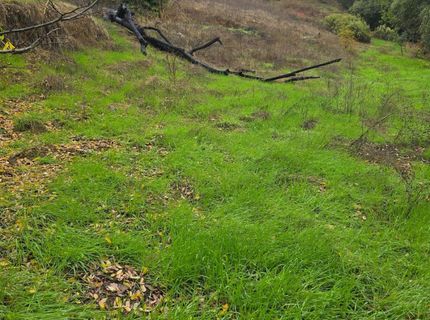 Electra Rd, Jackson, CA 95642 Photo