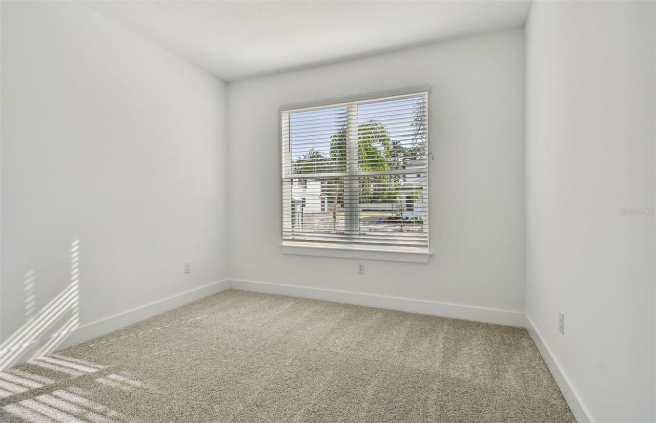 37343 Clinch Circle , Zephyrhills, FL 33540 Photo