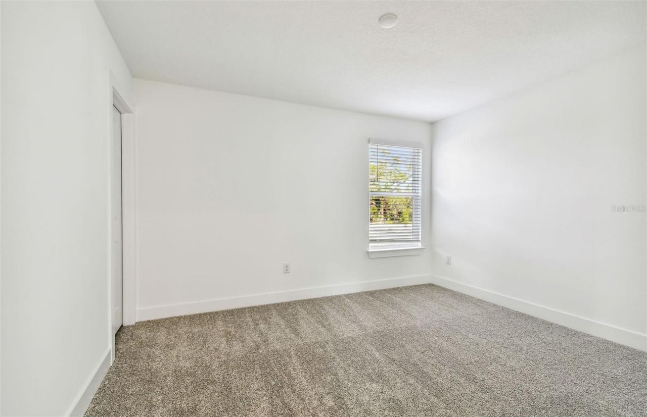 37343 Clinch Circle , Zephyrhills, FL 33540 Photo