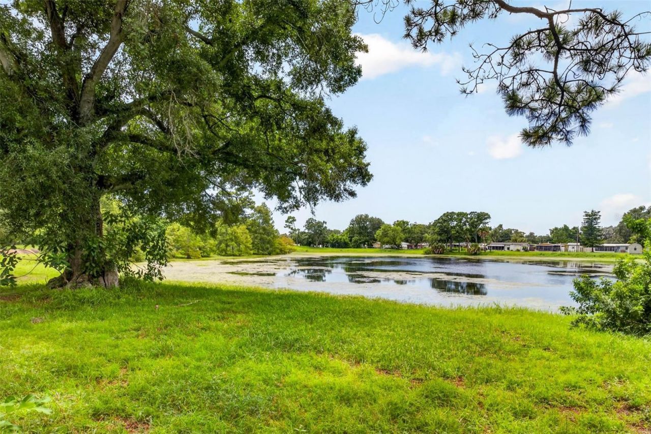 6320 66th Avenue N, Pinellas Park, FL 33781 Photo
