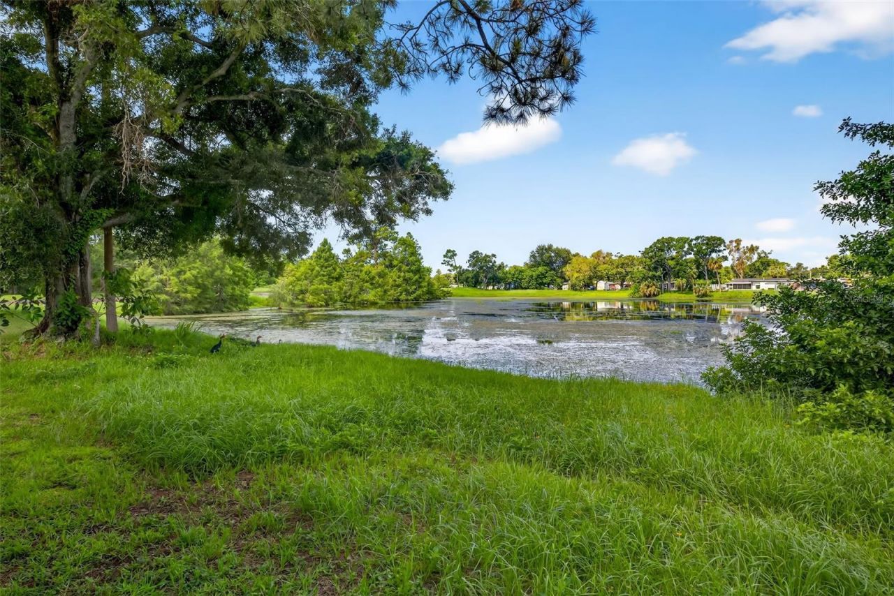 6320 66th Avenue N, Pinellas Park, FL 33781 Photo