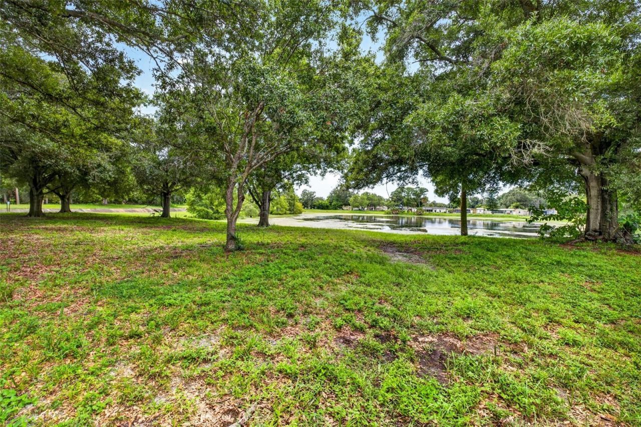 6320 66th Avenue N, Pinellas Park, FL 33781 Photo