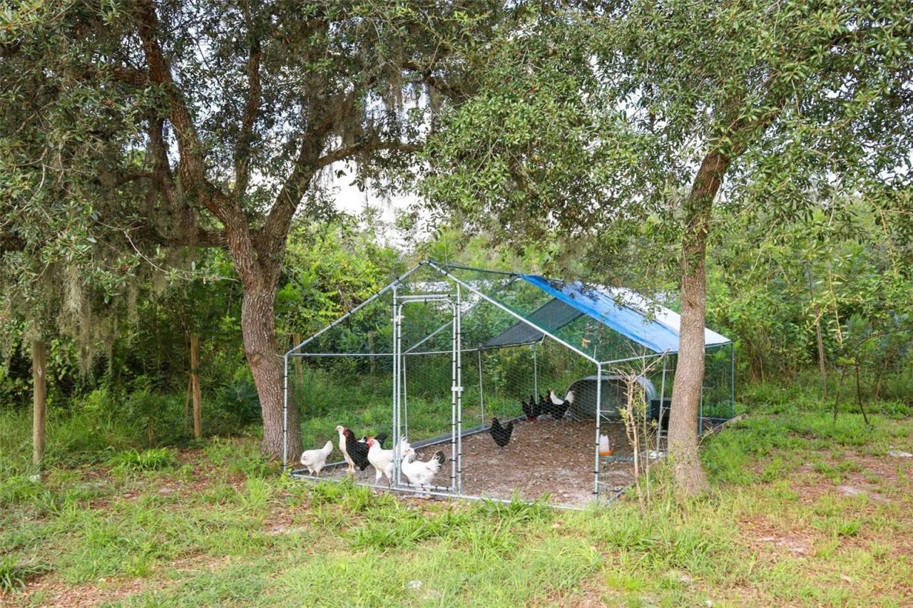 44031 East Road , Paisley, FL 32767 Photo