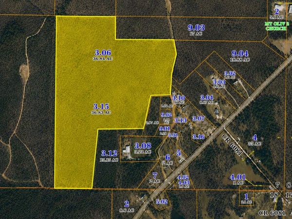 (73.67 acres) CR 7515, Baldwyn, MS 38824