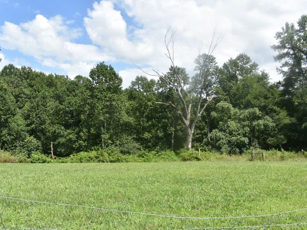 0 Countrywood Ln , Unit Tr. #2, Gainesboro, TN 38562