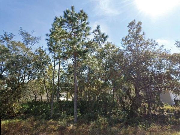1626 PILCHARD COURT , POINCIANA, FL 34759