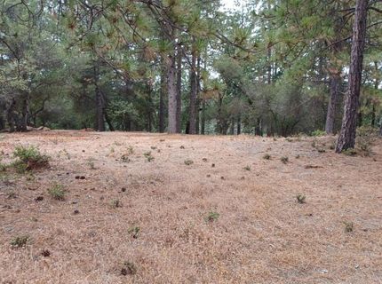 18885 Norlene Way, Grass Valley, CA 95949 Photo