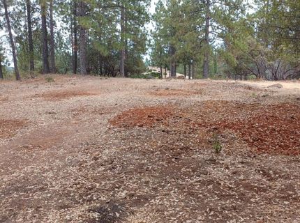18885 Norlene Way, Grass Valley, CA 95949 Photo