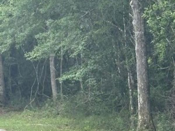 26063 Elm Road, Pass Christian, MS 39571