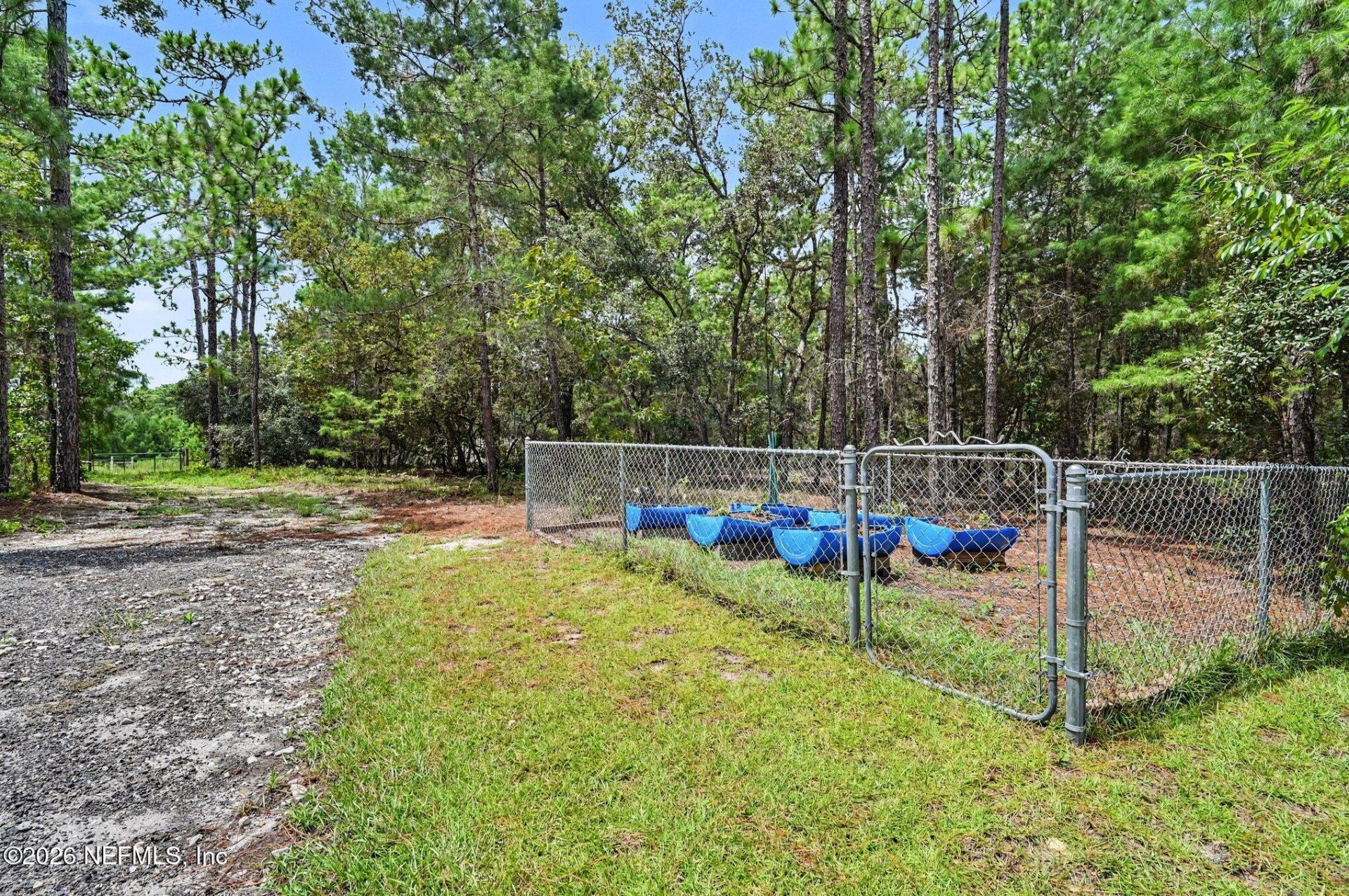 304 Grove Street, Welaka, FL 32181 Photo