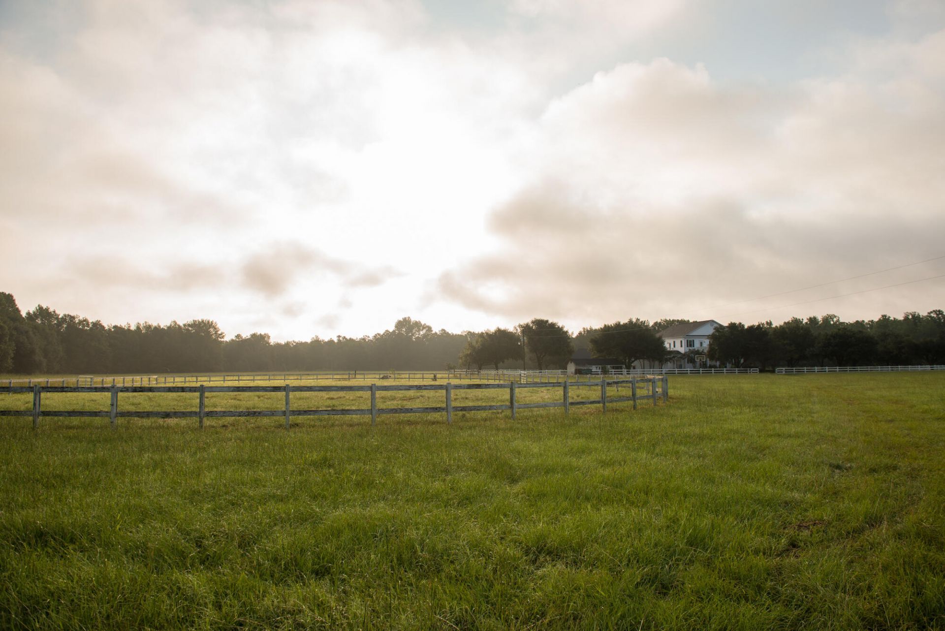 2270 Beulah Cuttino Road Photo 36