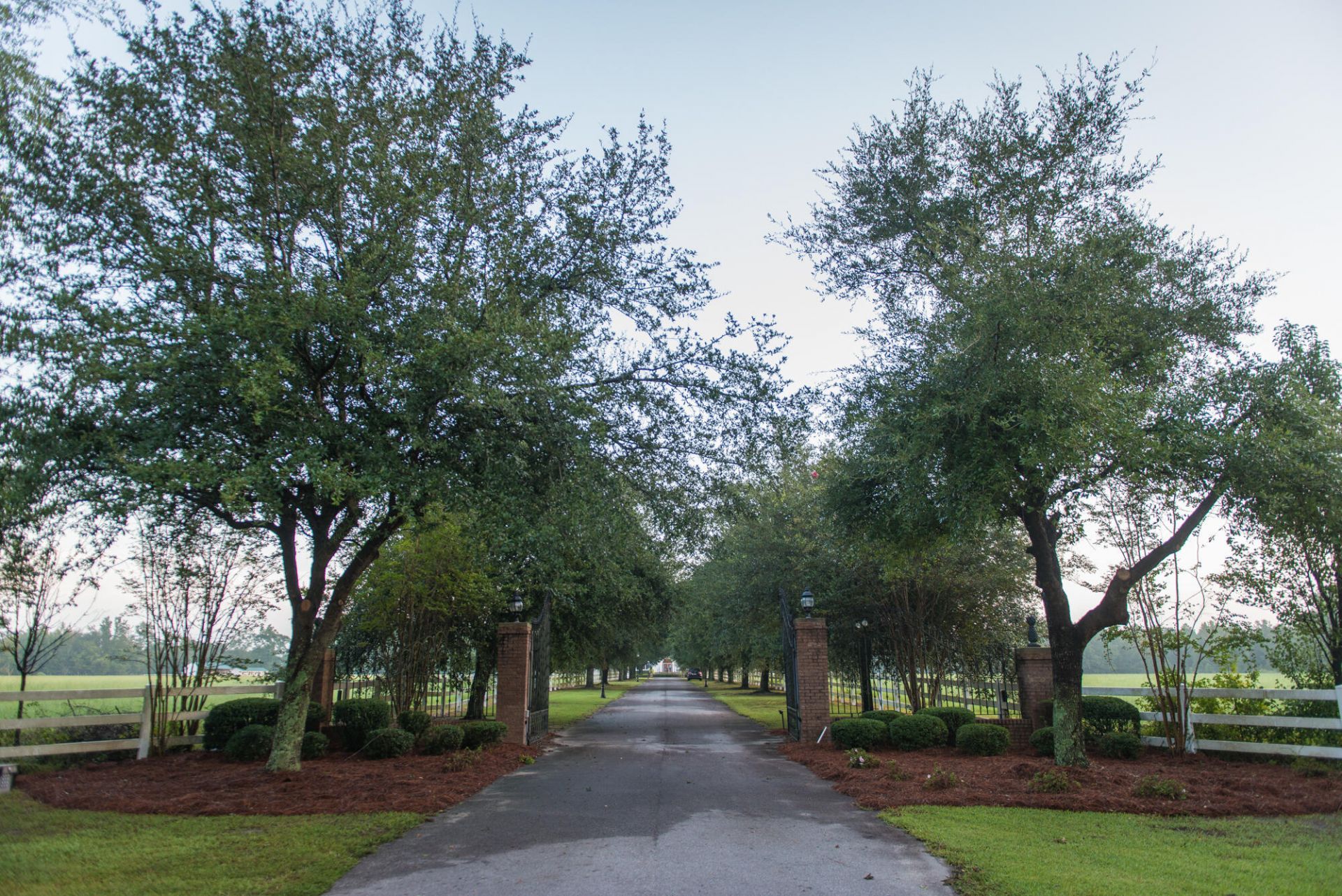 2270 Beulah Cuttino Road Photo 38