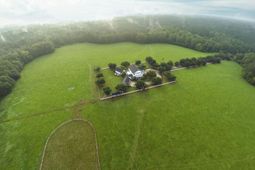 2270 Beulah Cuttino Road photo 4