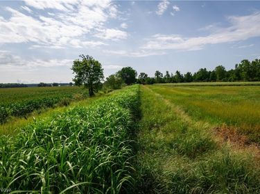 3835 County Road 147, Woodville, OH 43416