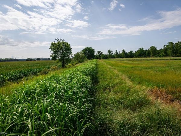 3835 County Road 147, Woodville, OH 43416