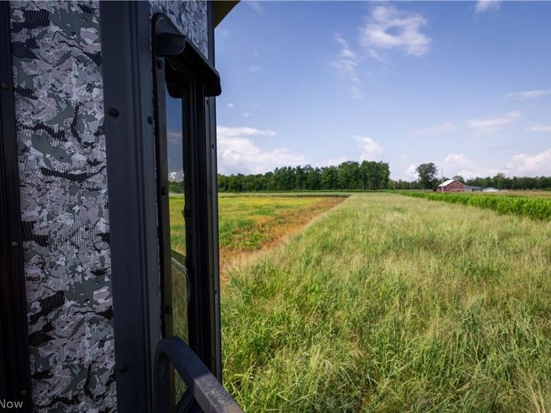 3835 County Road 147, Woodville, OH 43416 Photo 18