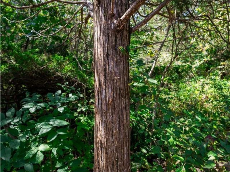 3835 County Road 147, Woodville, OH 43416 Photo 22