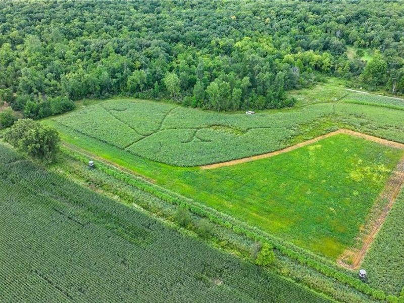 3835 County Road 147, Woodville, OH 43416 Photo 25