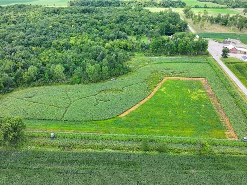 3835 County Road 147, Woodville, OH 43416 Photo 26