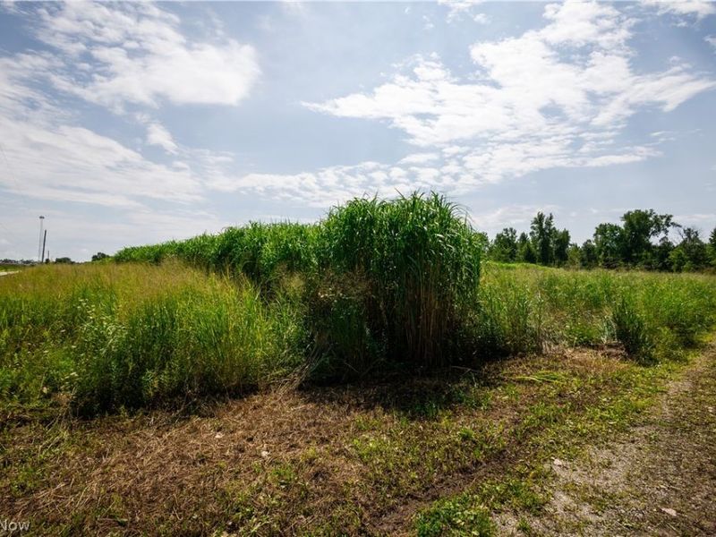 3835 County Road 147, Woodville, OH 43416 Photo 3