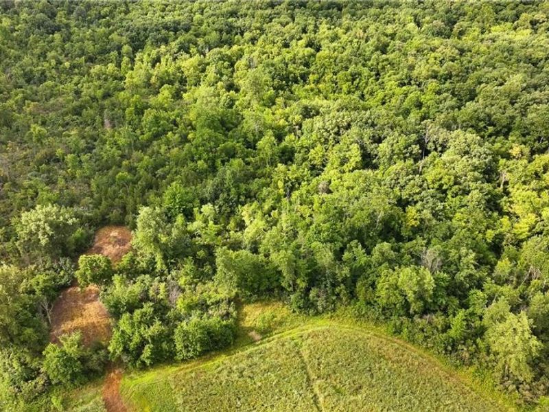 3835 County Road 147, Woodville, OH 43416 Photo 30