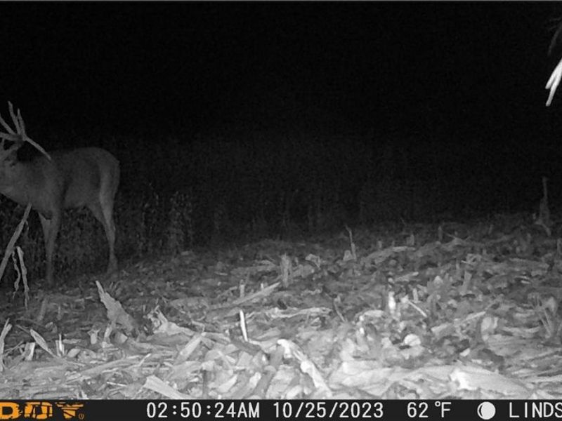 3835 County Road 147, Woodville, OH 43416 Photo 32
