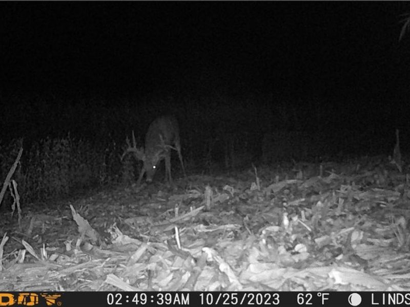 3835 County Road 147, Woodville, OH 43416 Photo 33