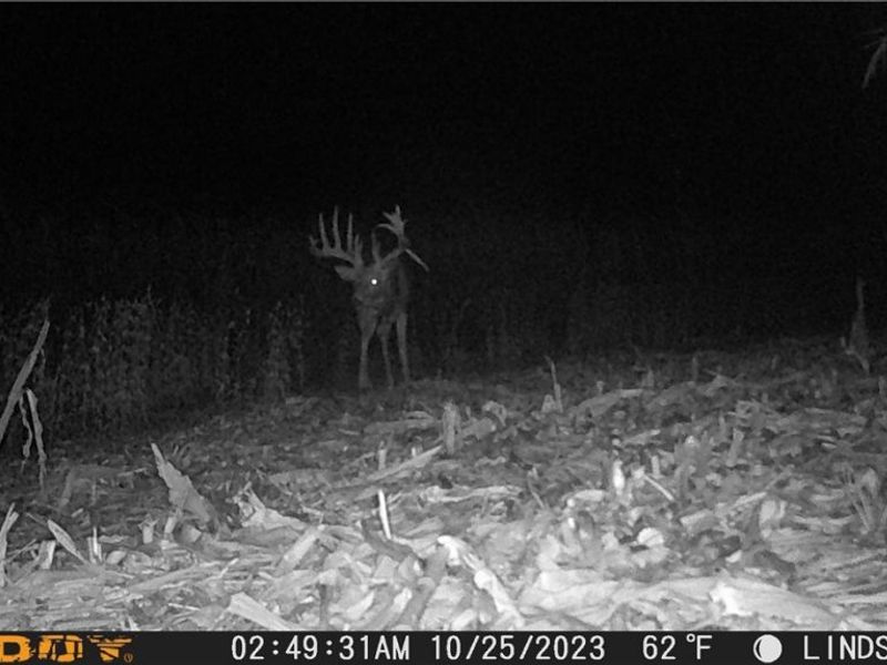 3835 County Road 147, Woodville, OH 43416 Photo 35