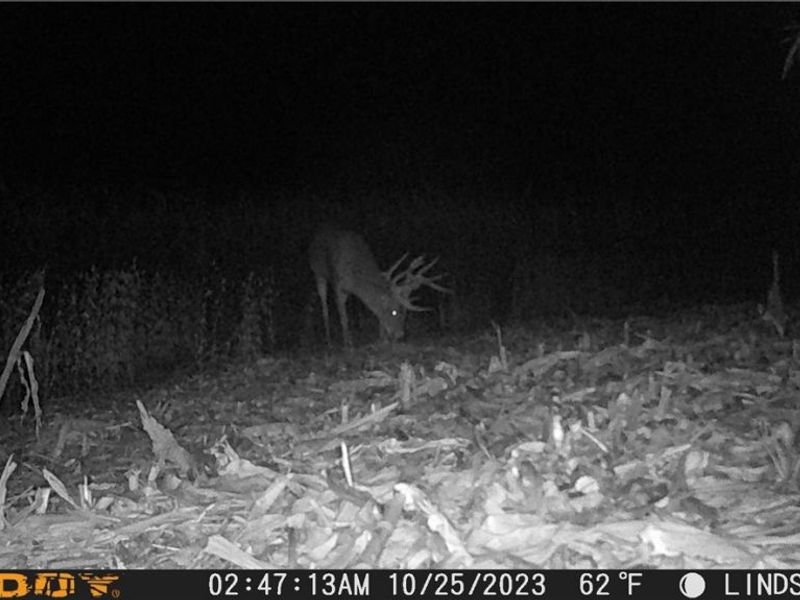 3835 County Road 147, Woodville, OH 43416 Photo 36
