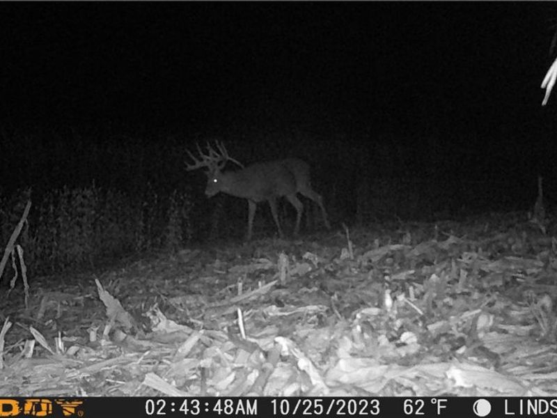 3835 County Road 147, Woodville, OH 43416 Photo 37