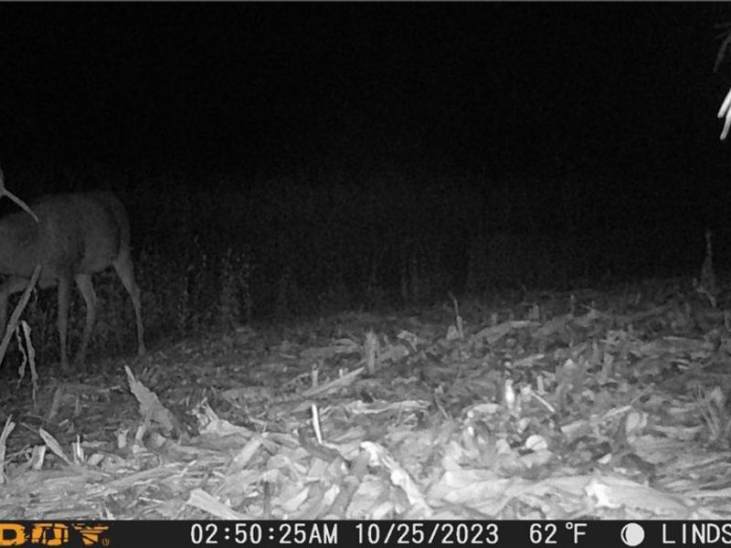 3835 County Road 147, Woodville, OH 43416 Photo 38