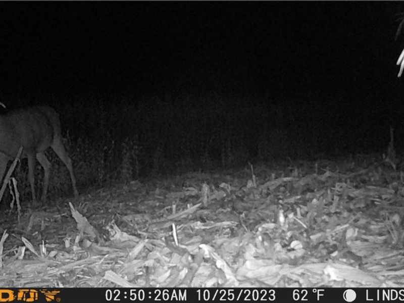 3835 County Road 147, Woodville, OH 43416 Photo 39