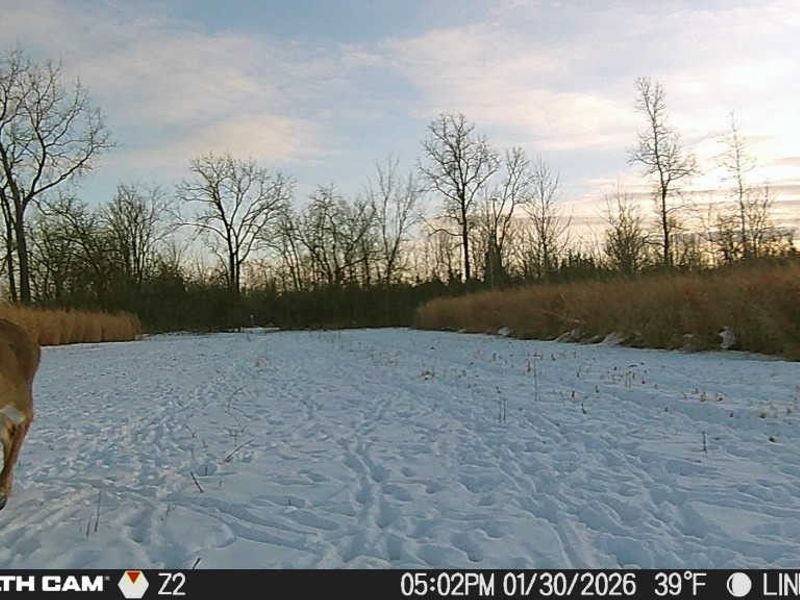3835 County Road 147, Woodville, OH 43416 Photo 45