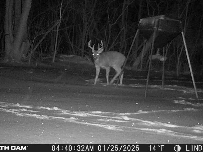 3835 County Road 147, Woodville, OH 43416 Photo 47