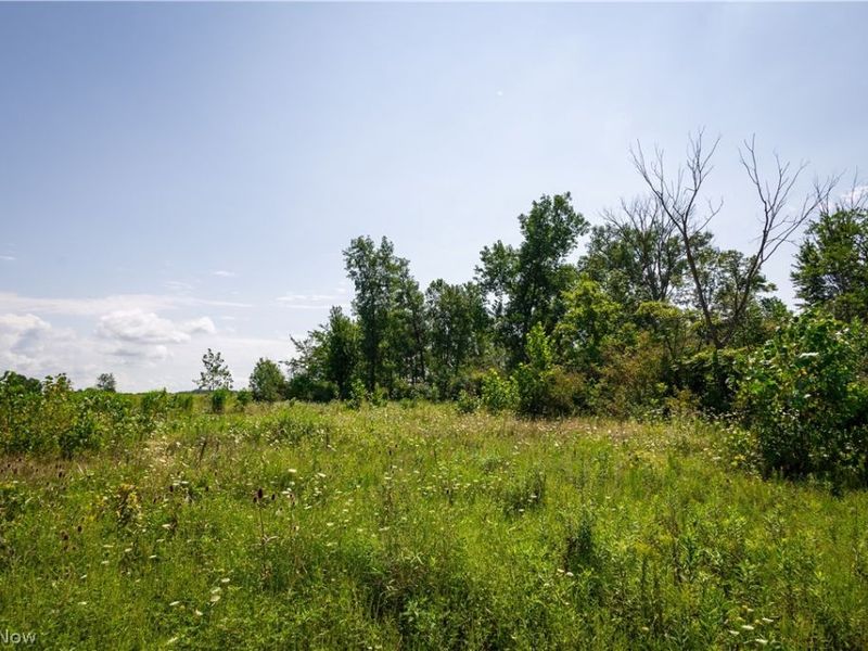 3835 County Road 147, Woodville, OH 43416 Photo 7