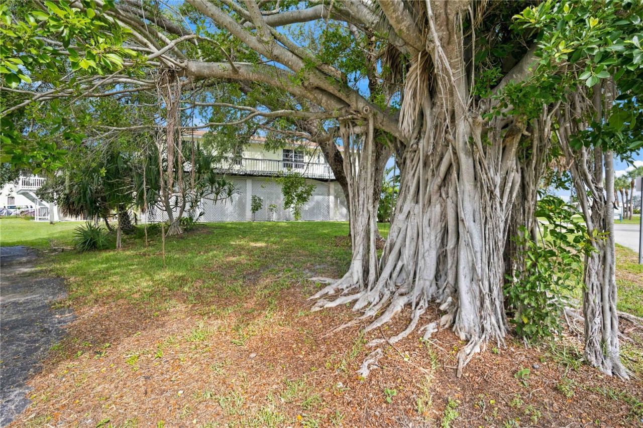 6904 22nd Street W, Bradenton, FL 34207 Photo